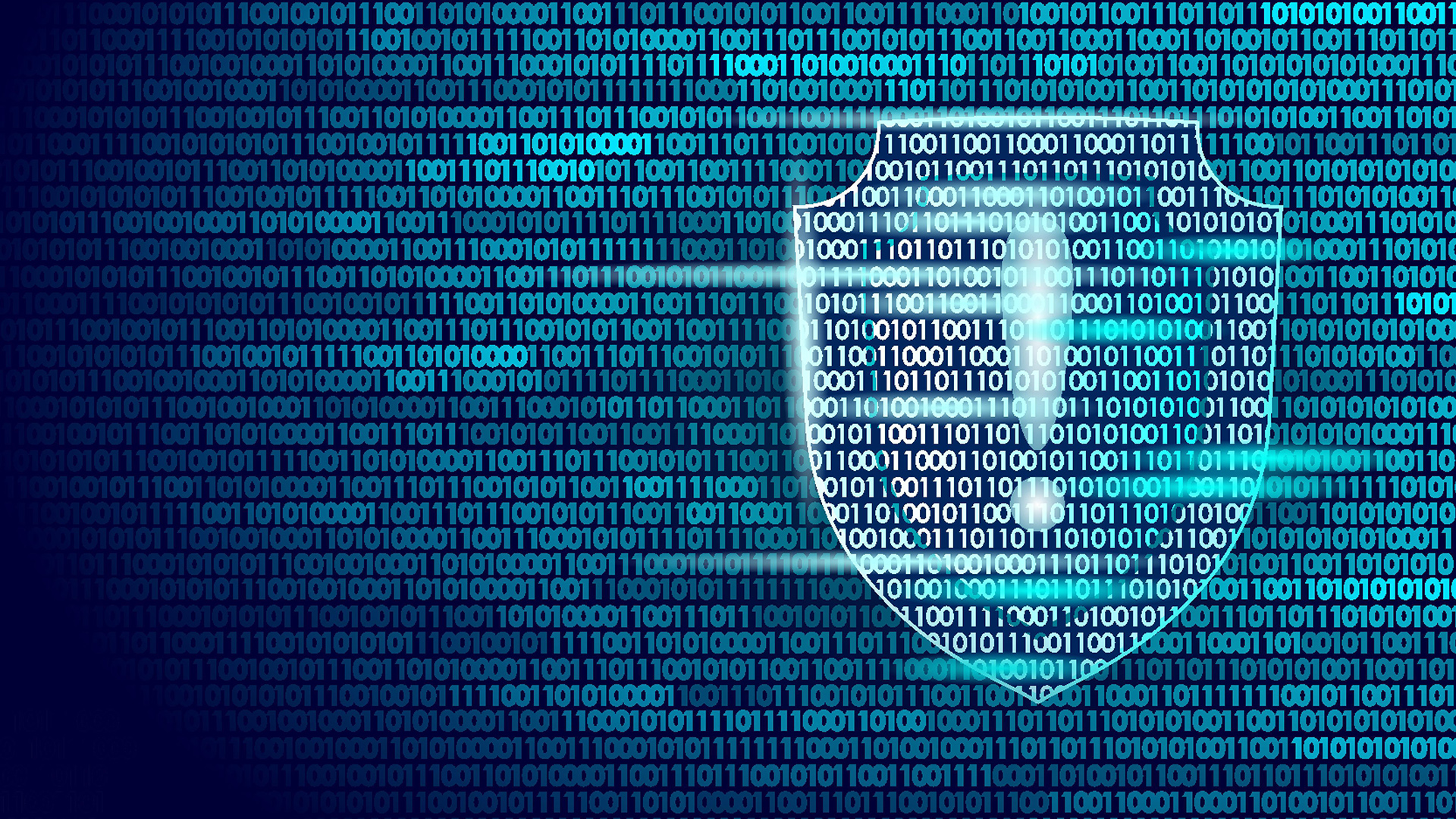 新手如何操作域名dns解析？有何步骤？