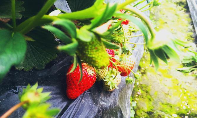 Proftpd下 贴心小技巧