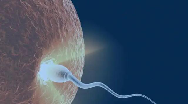 完蛋！我被 Out of Memory 包围了！